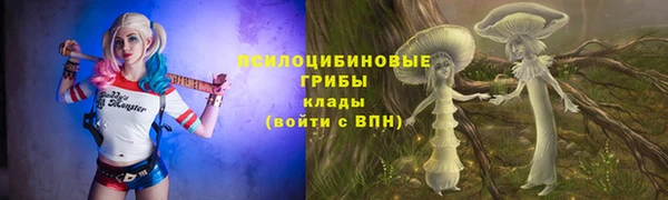 метадон Алексеевка