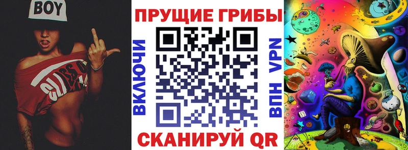 Псилоцибиновые грибы Magic Shrooms где купить Нытва